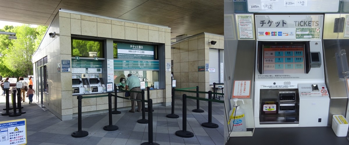 上野動物園門票購買方法＆交通方式