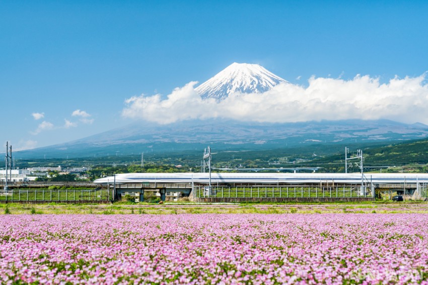 【Prefektur Shizuoka】Gunung Fuji