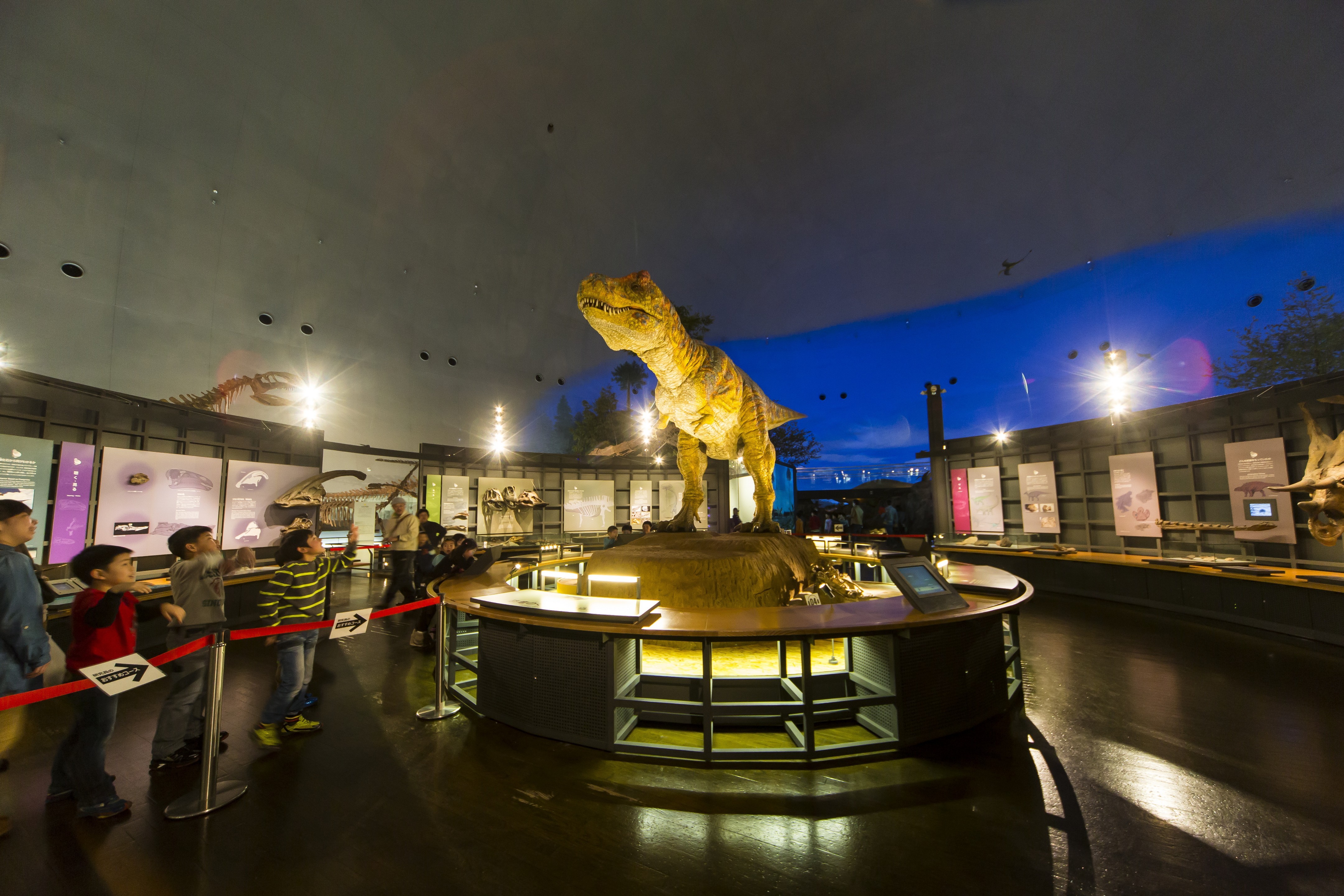 【Fukui】 Museum Dinosaurus Prefektur Fukui