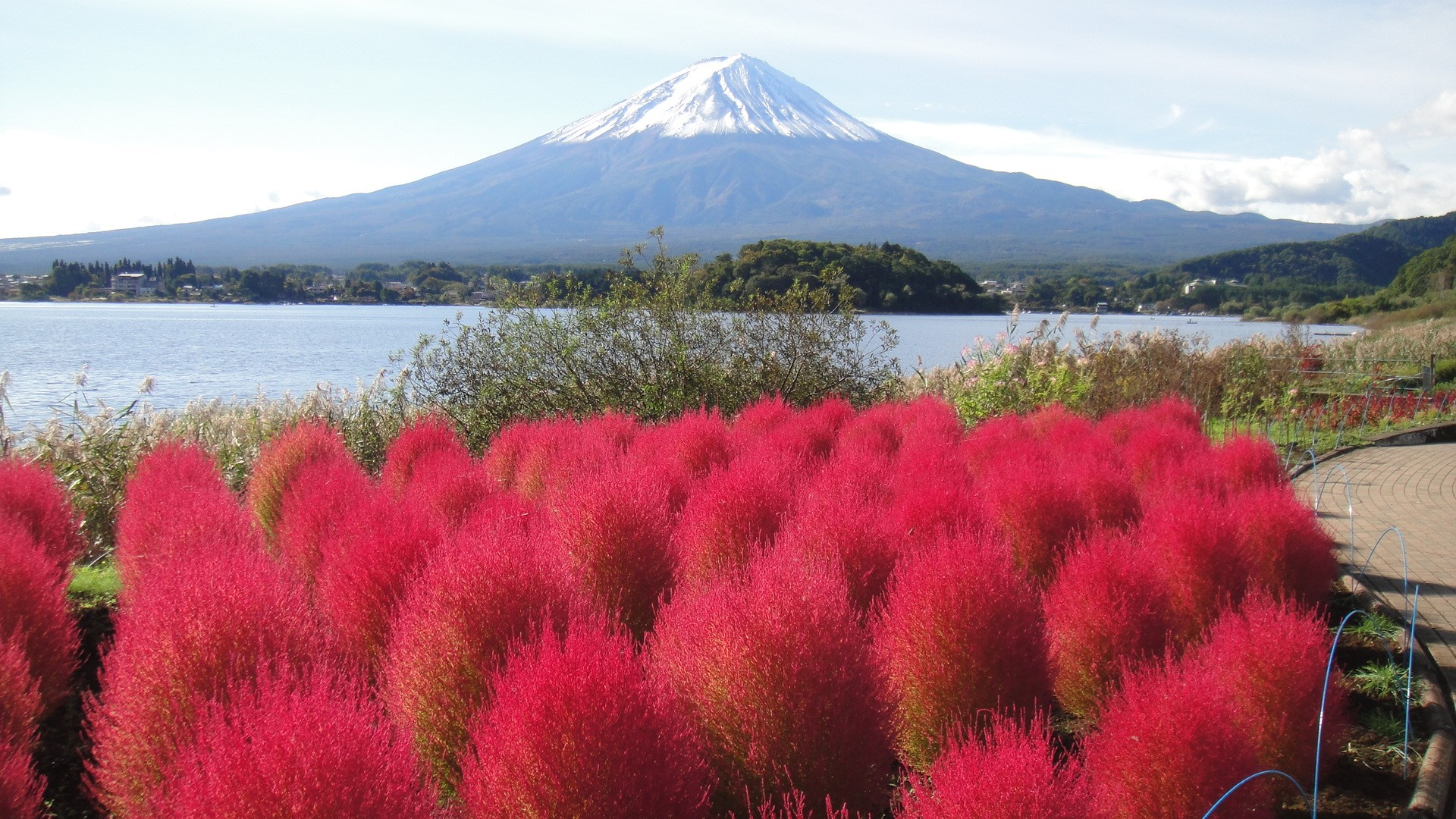 Kawaguchiko Oishi Park