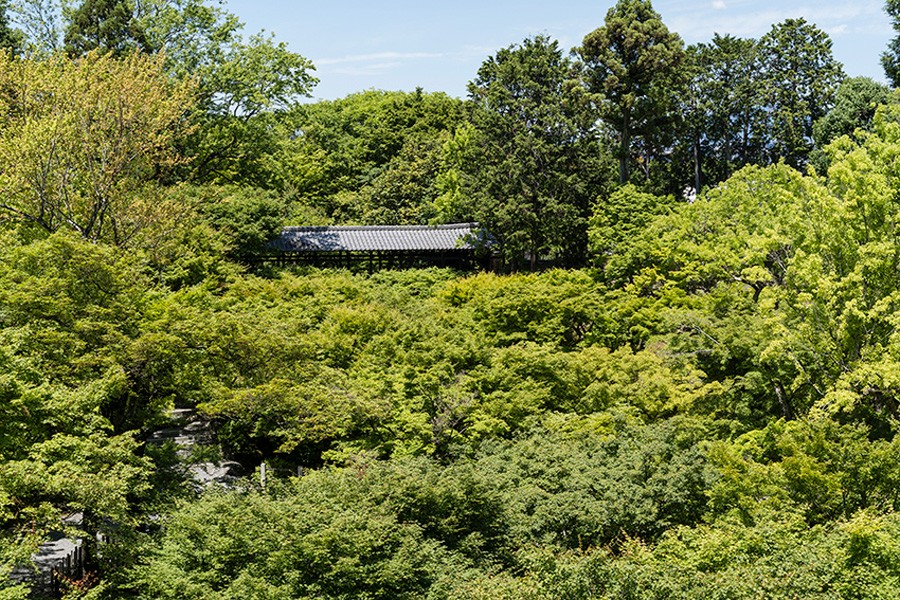 東福寺 新緑的京都