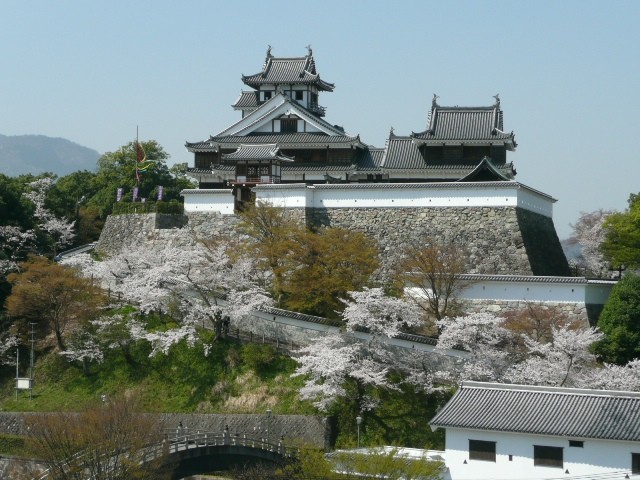【京都】福知山城天守閣 日本全国にある、城と桜が一緒に見られる名所