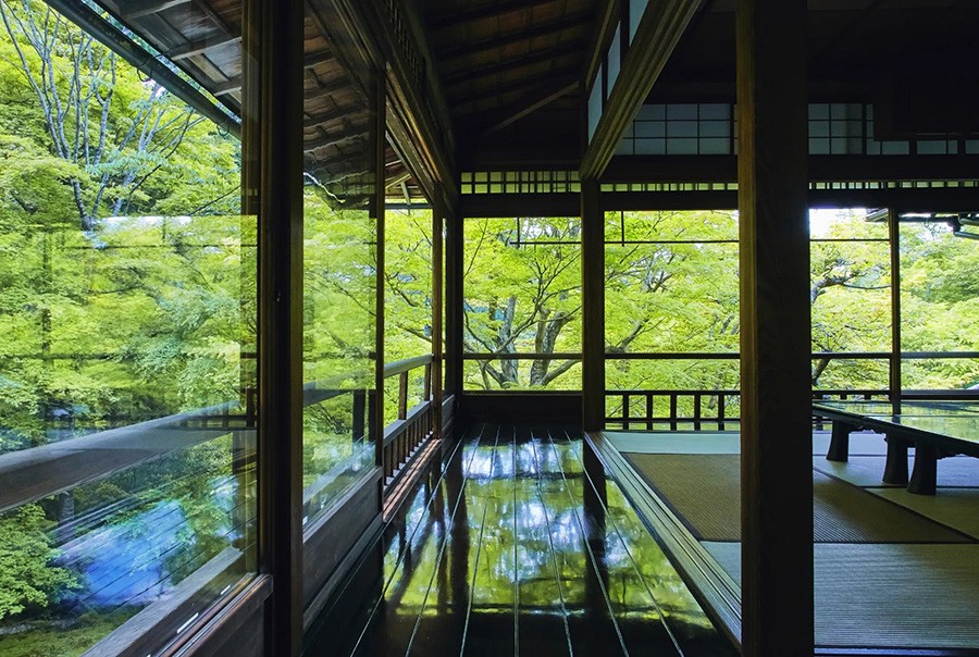 瑠璃光院 新綠的京都