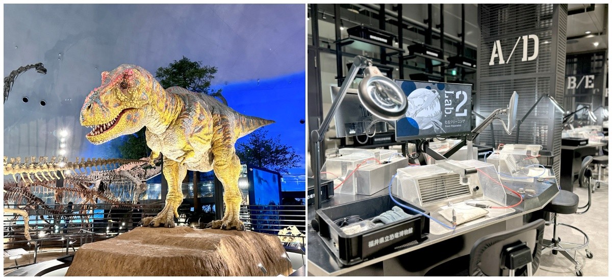 พิพิธภัณฑ์ไดโนเสาร์จังหวัดฟุคุอิ