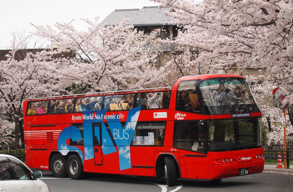 [Kyoto] Sekarang Anda dapat pergi ke Kinkaku-ji dan Kiyomizu-dera tanpa bingung lagi! Dari reservasi hingga penggunaan “Sky Hop Bus Kyoto”