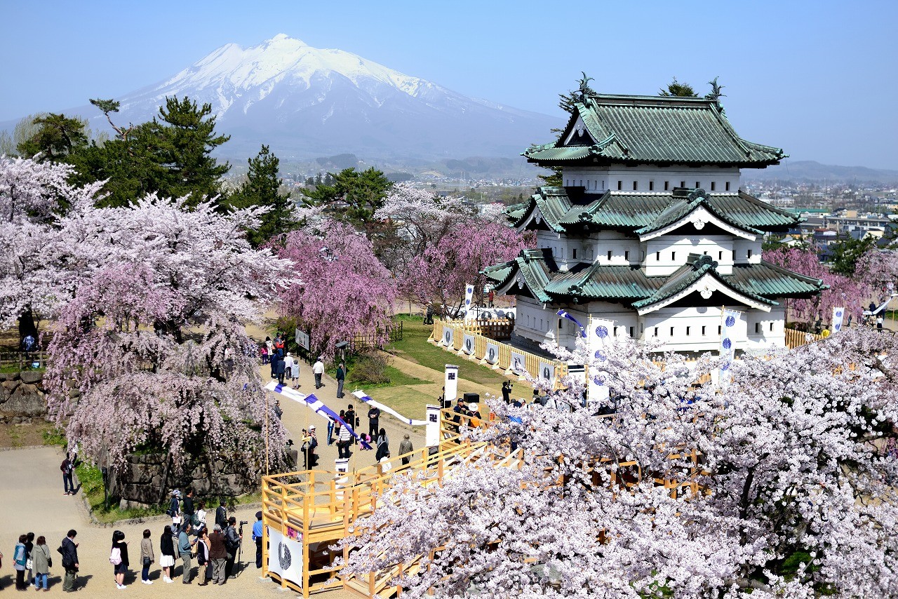 【青森】弘前公園 日本全国にある、城と桜が一緒に見られる名所
