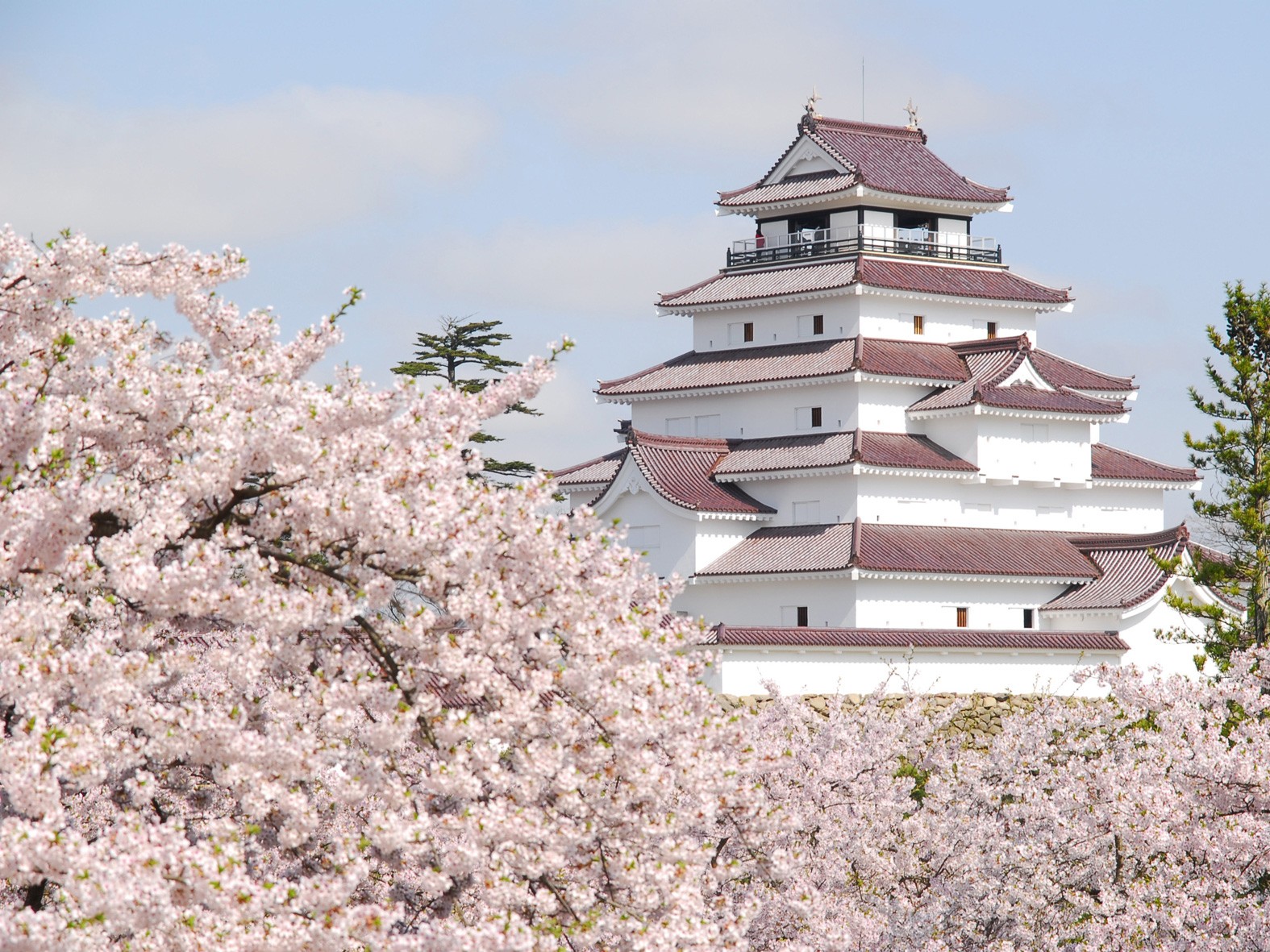【福島】鶴ケ城公園 日本全国にある、城と桜が一緒に見られる名所