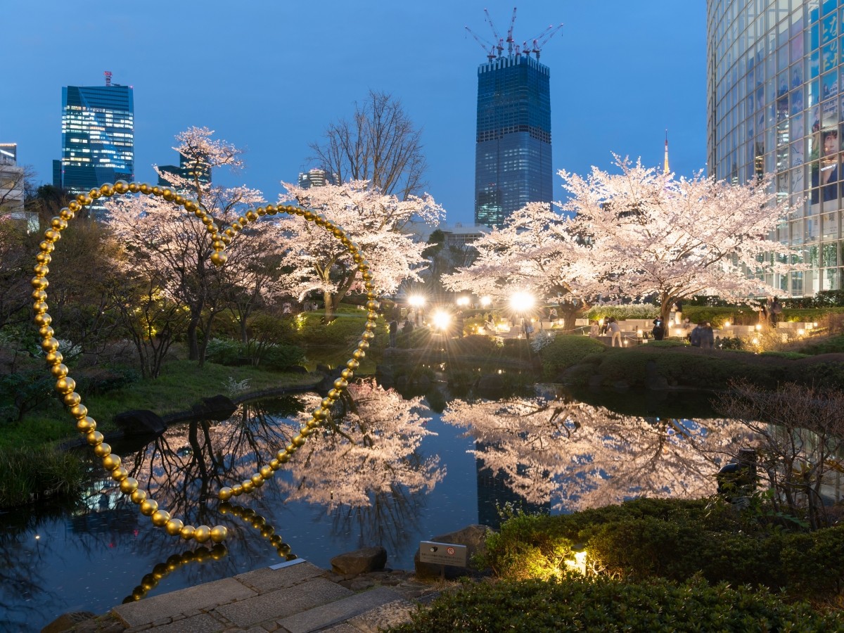 【Sakura Nhật Bản】Hãy đến vào mùa xuân năm 2024! Địa điểm ngắm hoa nổi tiếng ở Kanto mà người Nhật yêu thích