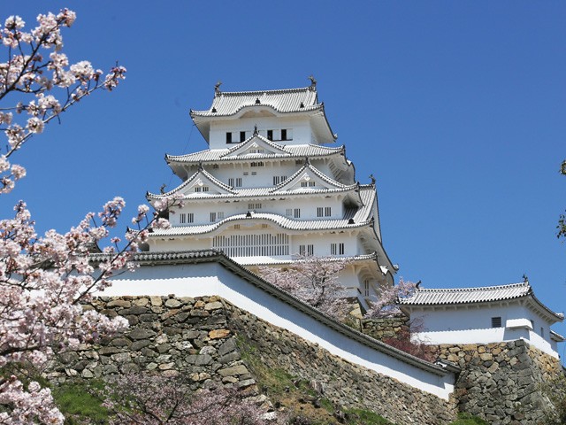 【兵庫県】姫路城 日本全国にある、城と桜が一緒に見られる名所