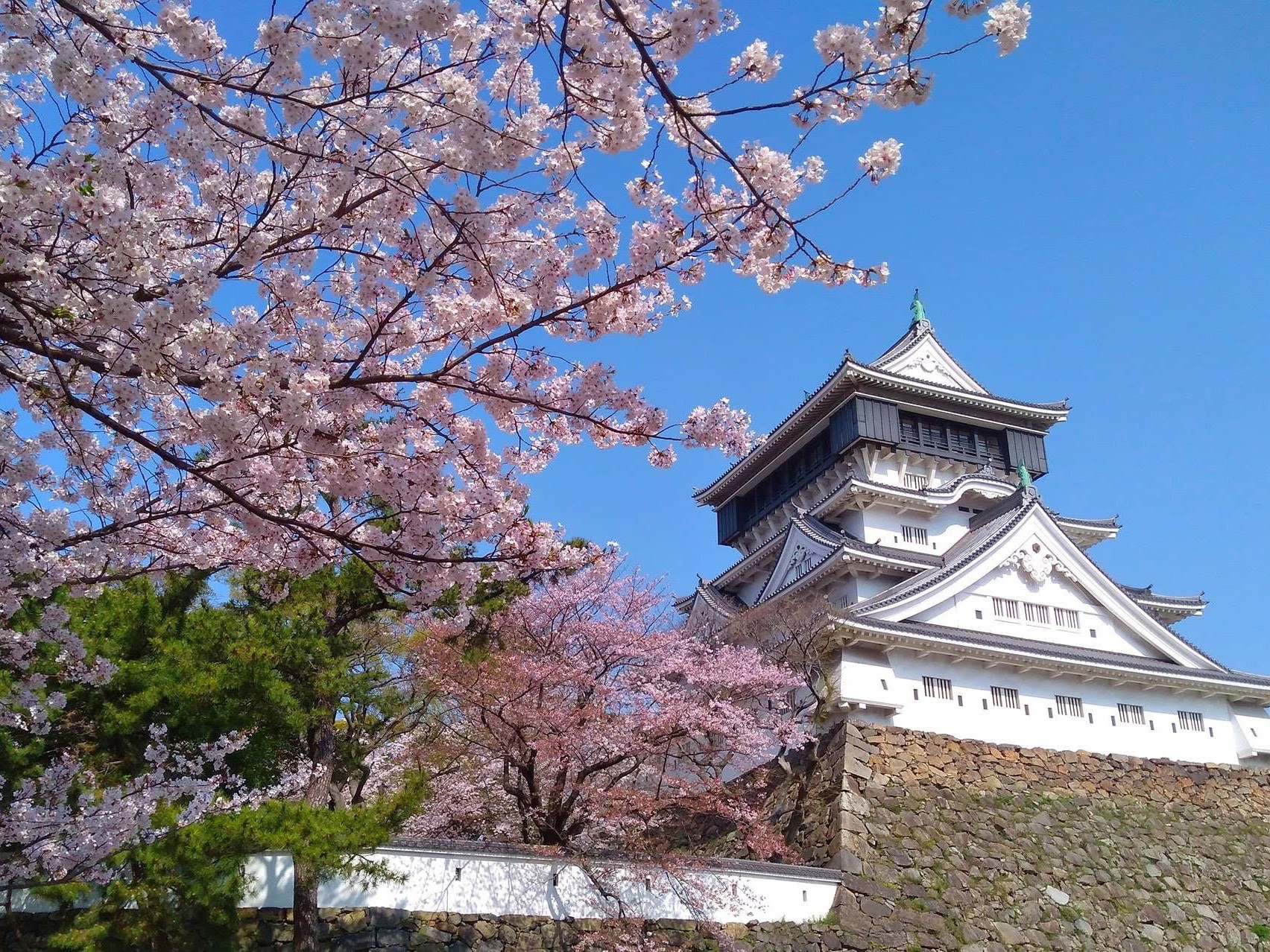 【福岡】小倉城 日本全国にある、城と桜が一緒に見られる名所