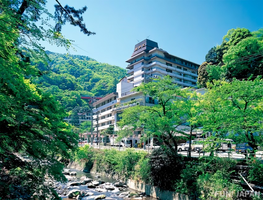 Japan Hakone Hot Springs