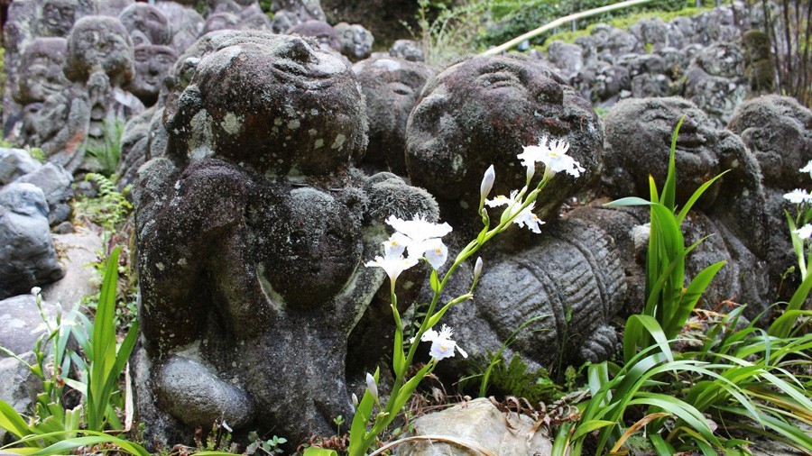 愛宕念佛寺 新綠的京都