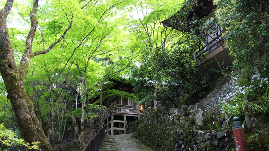 Chùa Otagi Nenbutsu Kyoto mùa xanh tươi