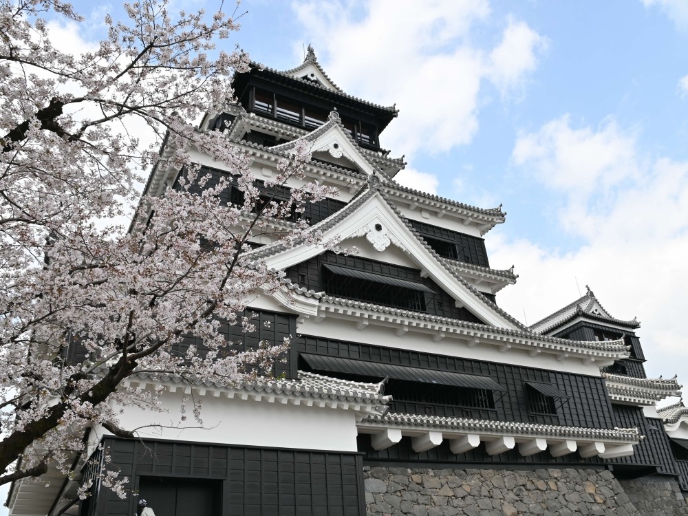 【熊本】熊本城 日本全国にある、城と桜が一緒に見られる名所