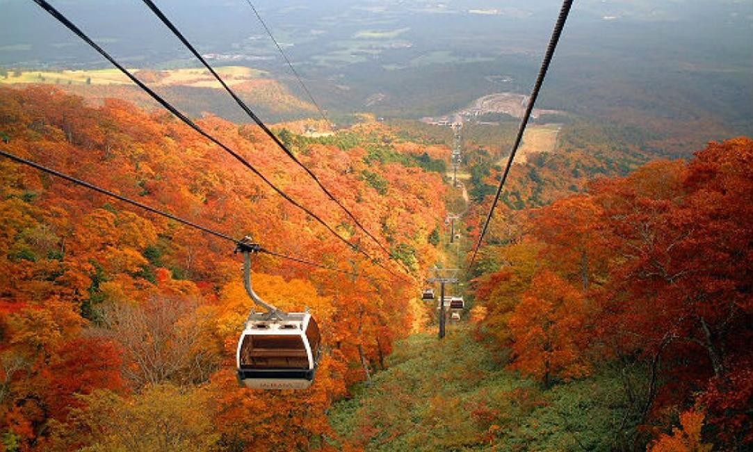 Tochigi Prefecture Nasu Highlands Autumn Leaves