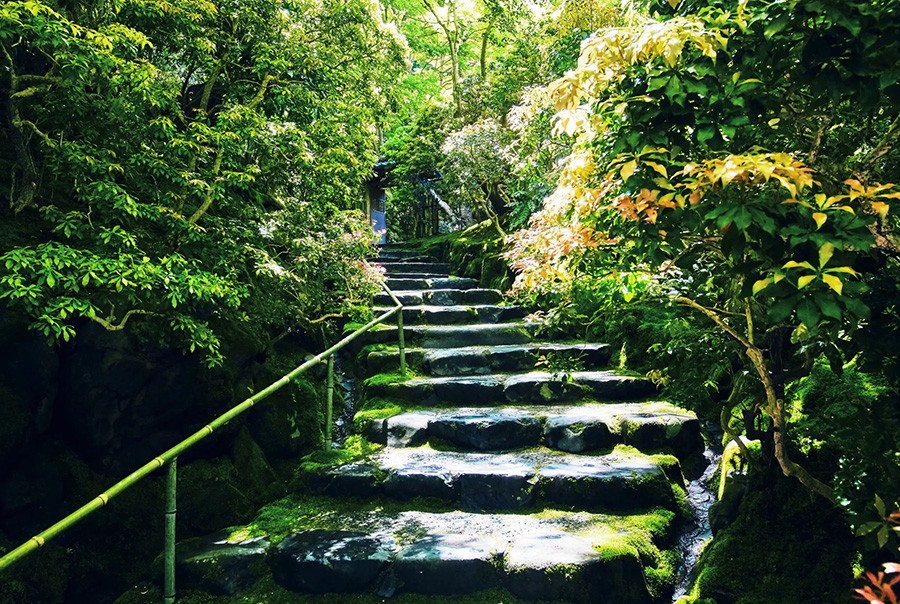 Rurikoin Temple Fresh Green Kyoto