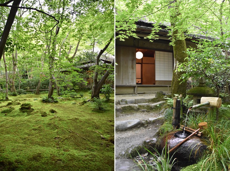 祇王寺 新緑的京都