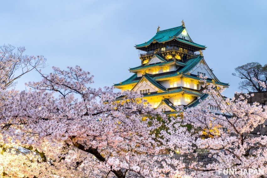 Osaka Castle Tower Cherry Blossoms