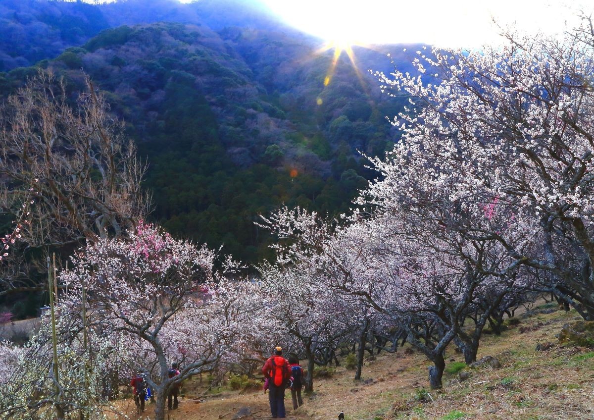 Yugawara Prefektur Kanagawa