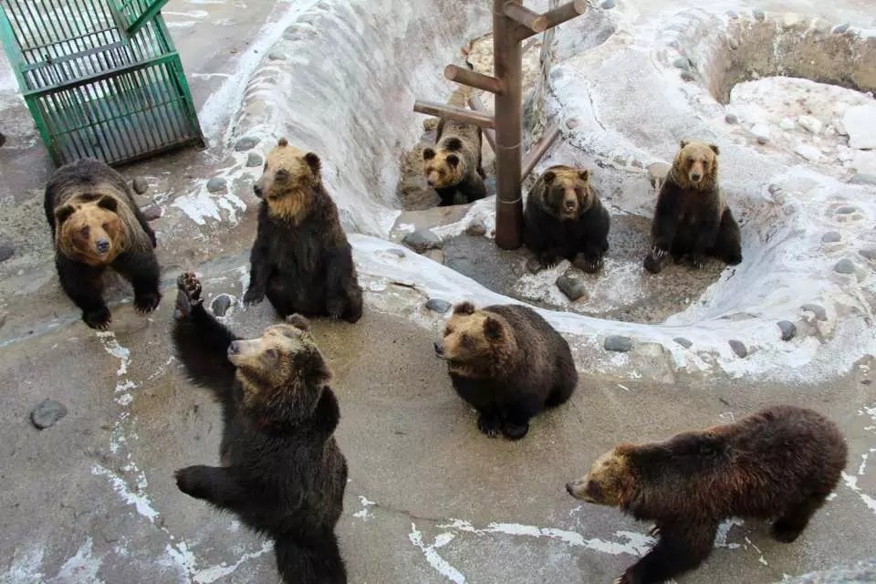 動物園 登別熊牧場 北海道