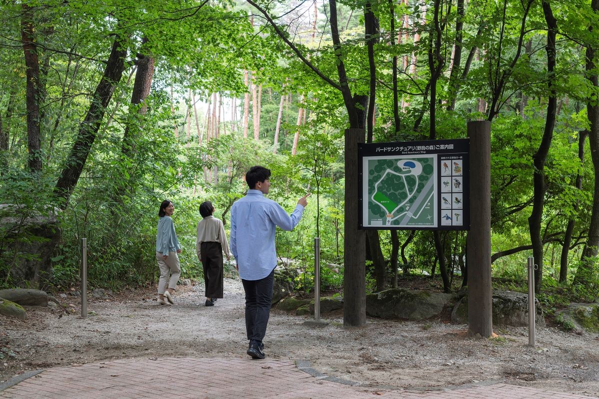 โรงกลั่น Suntory Hakushu จังหวัด Yamanashi สถานที่อพยพสำหรับนก