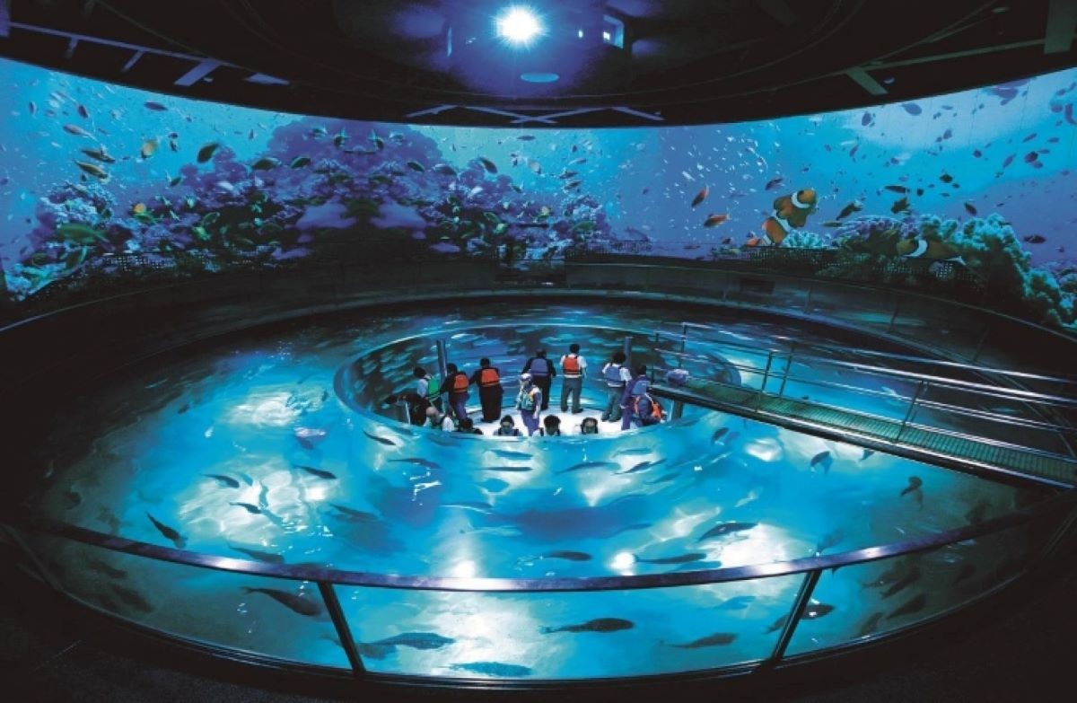 京都 城崎 城崎海洋世界 水族館
