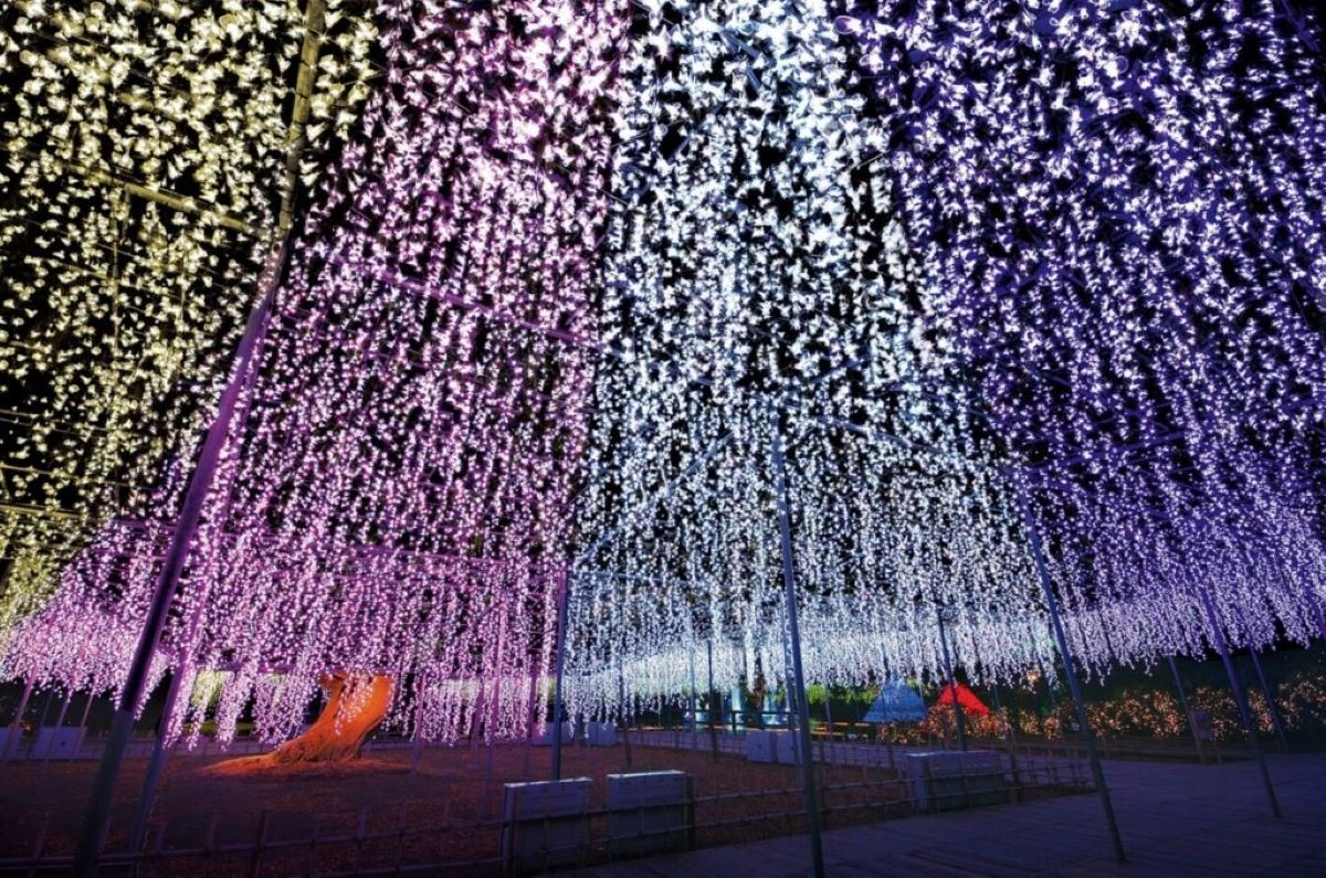 Pilgrimage Demon Slayer Tochigi Ashikaga Flower Park