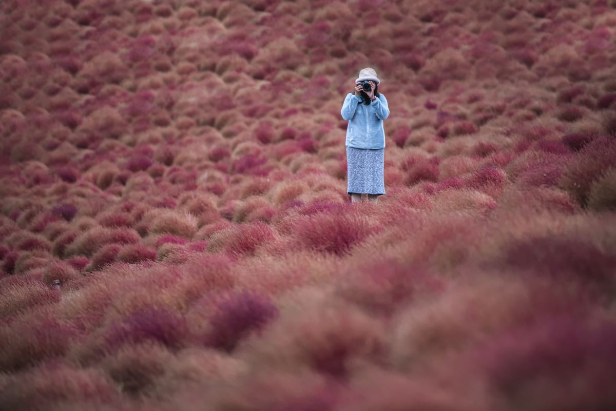 Kochia Scenic Spot