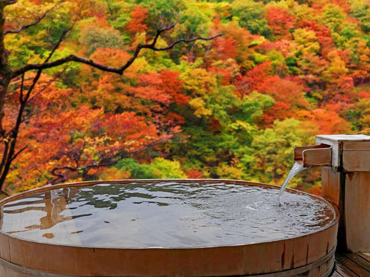 Hot spring Sauna Activity