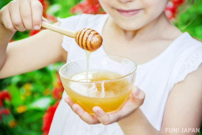 Honey Beekeeping History Japan