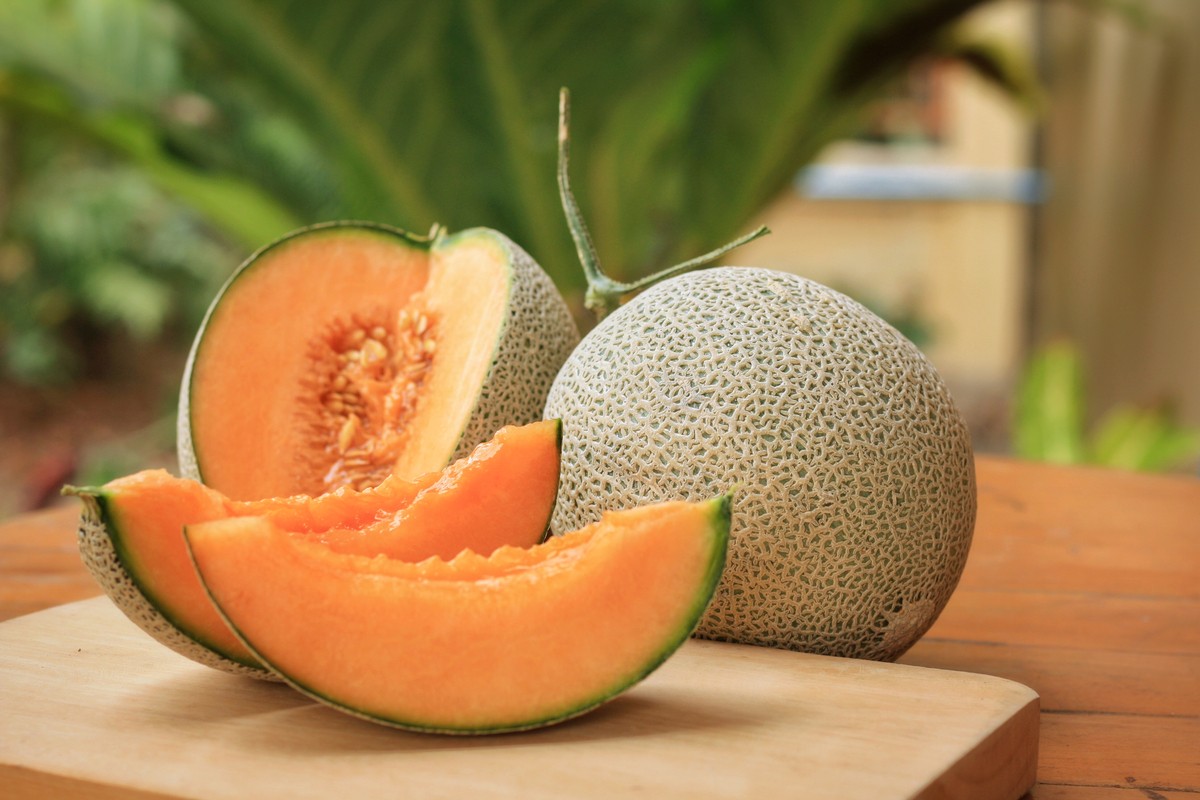 Summer Seasonal Fruit Melon