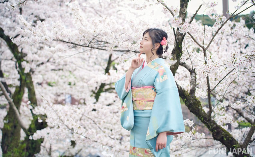 hoa anh đào sakura kimono