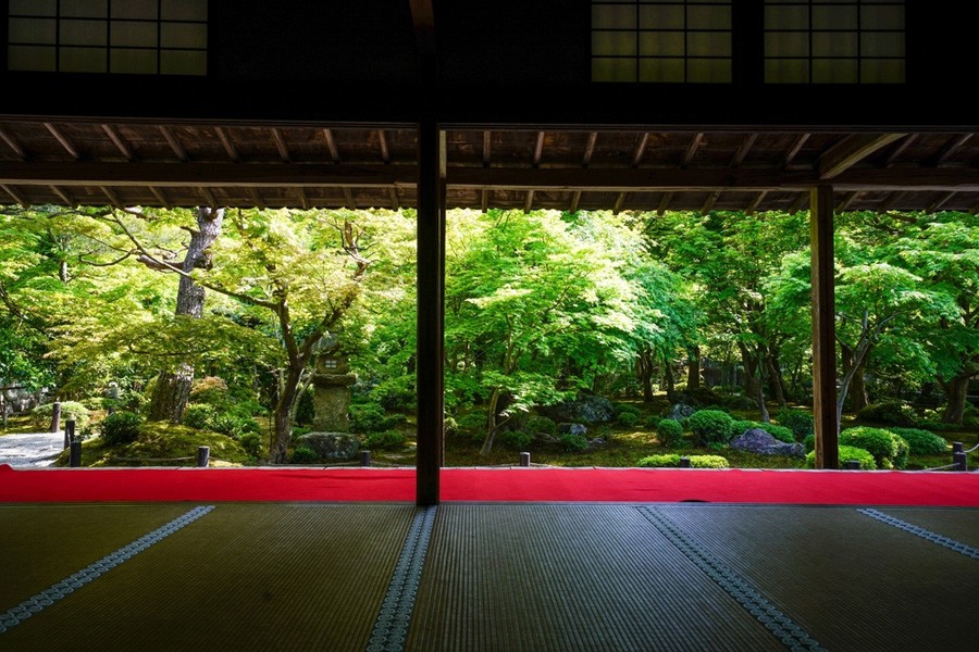 圓光寺 新綠的京都