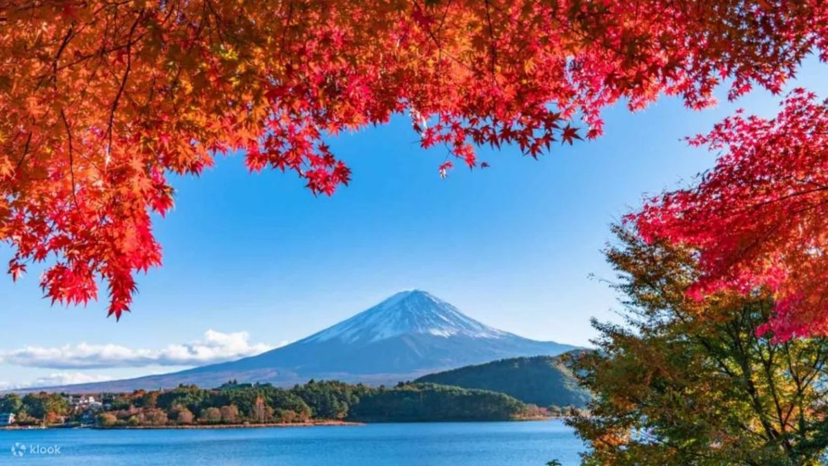 富士山與楓葉